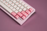 Lily R2